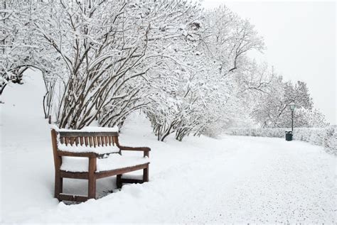 Park Bench And Trees In Winter Stock Photography Image 28286472