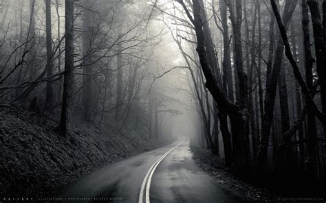Awesome dark wallpaper for desktop, table, and mobile. mist, Black, Road, Trees HD Wallpapers / Desktop and Mobile Images & Photos