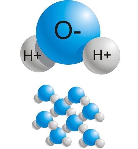 Todo Lo Que Debes Saber Sobre La Molécula De Agua Molecula De Agua