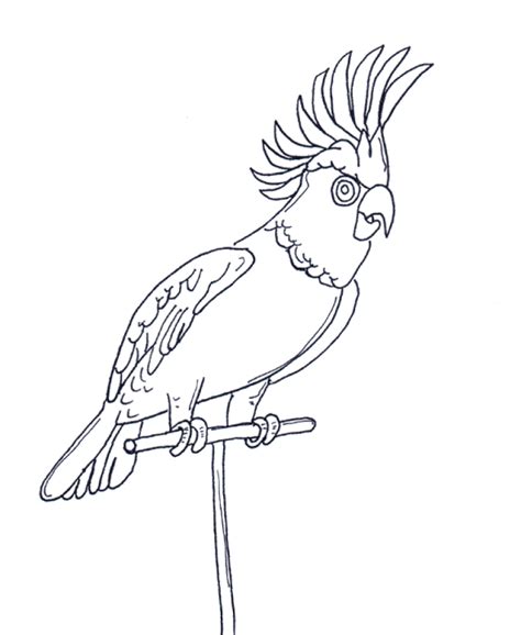 Parrot Coloring Pages - Coloring Home