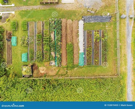Aerial View Vegetables Beds In A Garden Fresh And Organic Produce