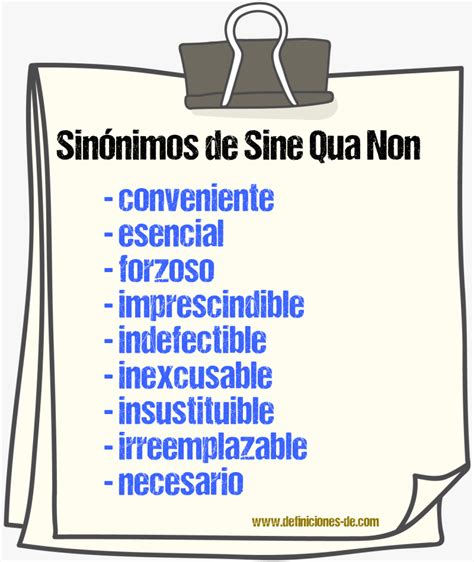 Sinónimos De Sine Qua Non