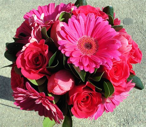 White wedding flowers embody purity, innocence, and romance. Hot Pink Gerbera Daisy, Tulip and Rose Bridal Bouquet ...