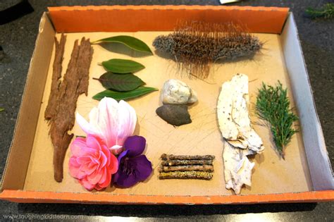 Diy Nature Sensory Board Laughing Kids Learn