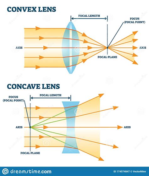 Before that, let's understand what are the different types of images & lenses. Convex And Concave Lens, Vector Illustration Diagrams ...