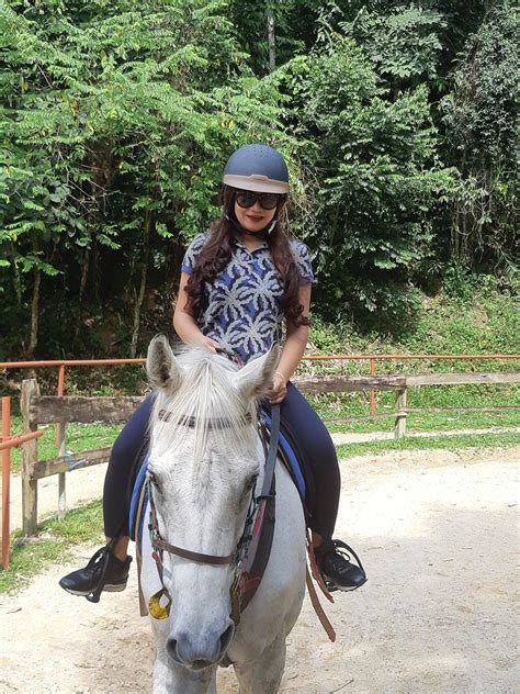 I'll also give you a detailed view of possible events that can occur after applying for a … Horse Riding Ticket - GHRC | Ticket2u