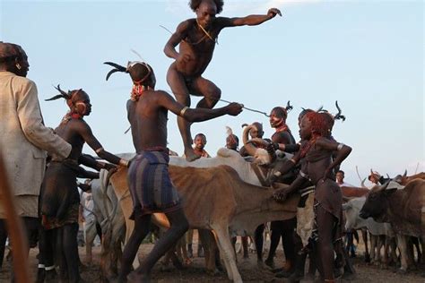 Hamer People The Ethiopian Tribe With The Famous Bull Jumping Ceremony
