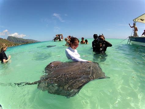 Swimming With Manta Rays In Fiji