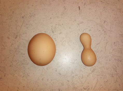 20 Weird Looking Eggs Of Unnatural Shape And Color That Can Confuse