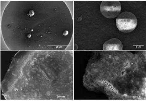Sem Images Of Ibuprofen Nanosponge Formulation I2 Figure 6c Shows A