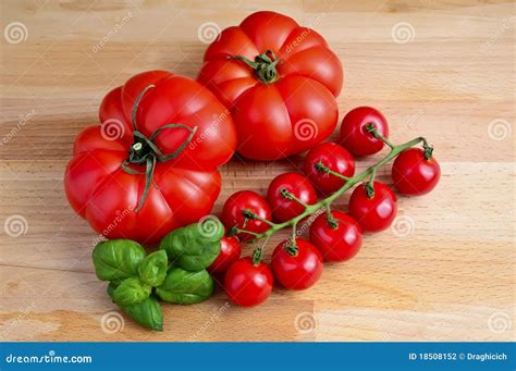 Tomatoes And Basil Stock Photo Image Of Culinary Ingredients 18508152