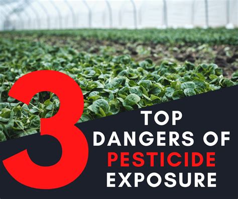 3 Top Dangers Of Pesticide Exposure Are You At Risk Integrative