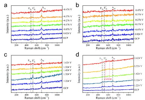 In Situ Raman Spectra Of Co 3 O 4 And N S V O Co 3 O 4 During HER And