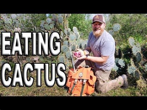 Should you eat cactus fruit for betalain? How To Eat A Cactus Fruit / Day 3 Of 30 Day Survival ...