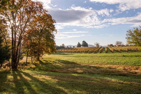 Virginia Wineries To Visit This Fall Wine And Country Life