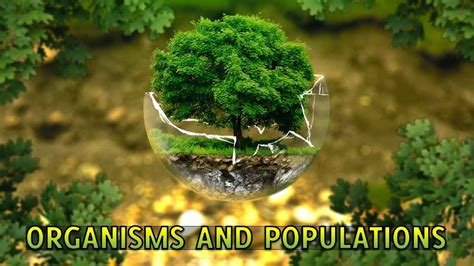 Ppt Organisms And Populations Class 12 Notes Rajus Biology