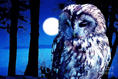 Night Owl Painting By Neil Finnemore Pixels