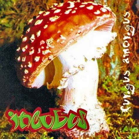 Incubus Fungus Amongus 1995 Lossless Galaxy лучшая музыка в