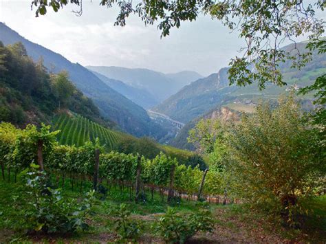 What You Need To Know About The Wine Regions Of Northern Italy