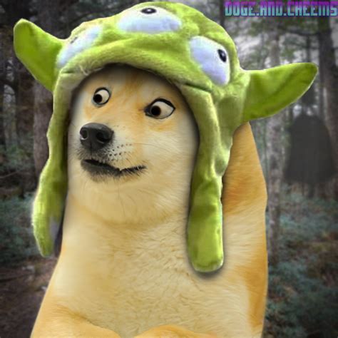 1080 X 1080 Doge Doge Collection Dank Memes Amino