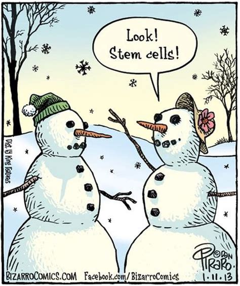 Stem Cells Nerd Humor Science Teacher Humor Science Jokes