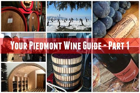 10 Of The Best Wineries In Piedmont To Experience Winerist Magazine