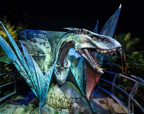 Avatar Themed Exhibition Set To Open At Shanghai Disneyland 上海市文旅推广网