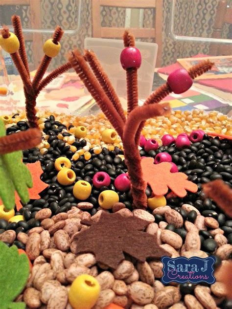 Apple Orchard and Pumpkin Patch Sensory Bin | Fall sensory bin, Sensory