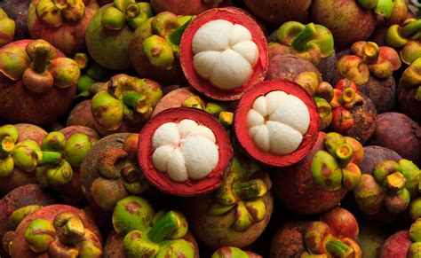 If you need some extra help losing weight, and. GARCINIA CAMBOGIA (Régime, Poids) | Bienfaits, Propriétés ...