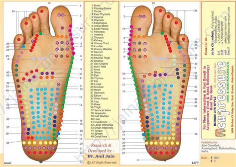 Foot Acupuncture Points Chart Bing Images Traditional Acupressure Therapy Reflexology