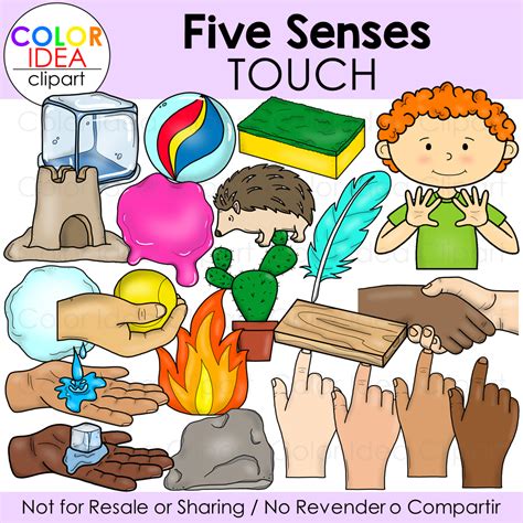 Five Senses Touch Made By Teachers