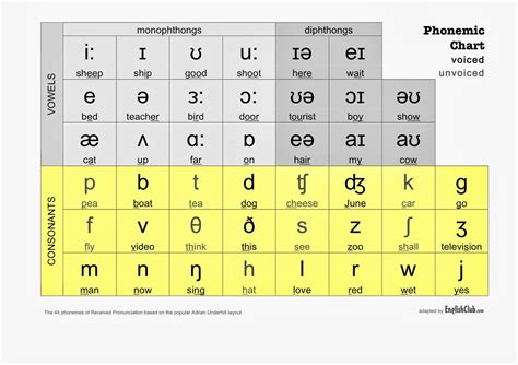British International Phonetic Alphabet Ipa Chart Symbols Imagesee