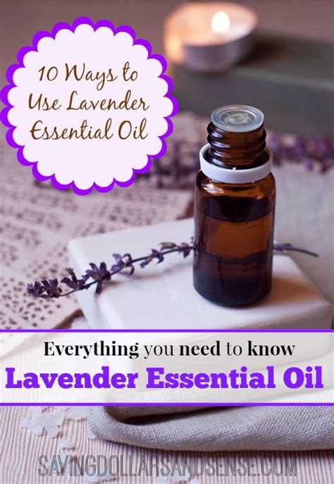 Everyday Essentials Lavender Oil Saving Dollars Sense