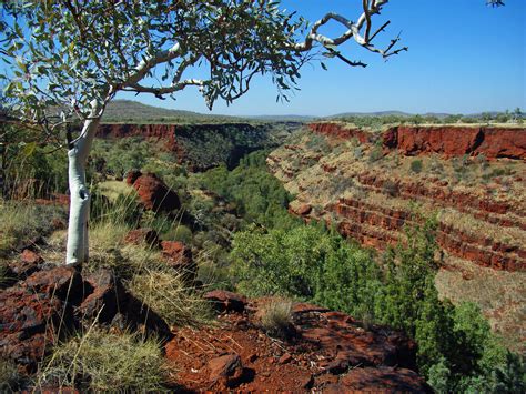 Filekarijini National Park Pilbara Region Western