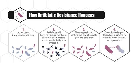 Antibiotic Resistant Superbugs May Be Closer To Home Than We Think