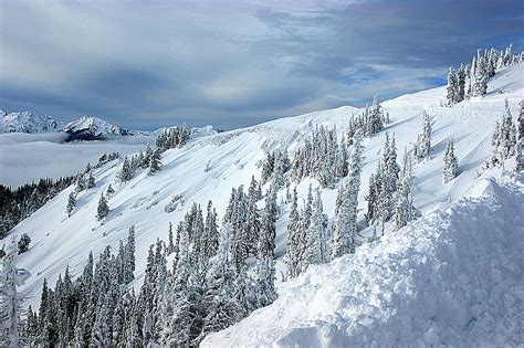 Snow At Hurricane Ridge Photograph By Robert Bodnar Fine Art America
