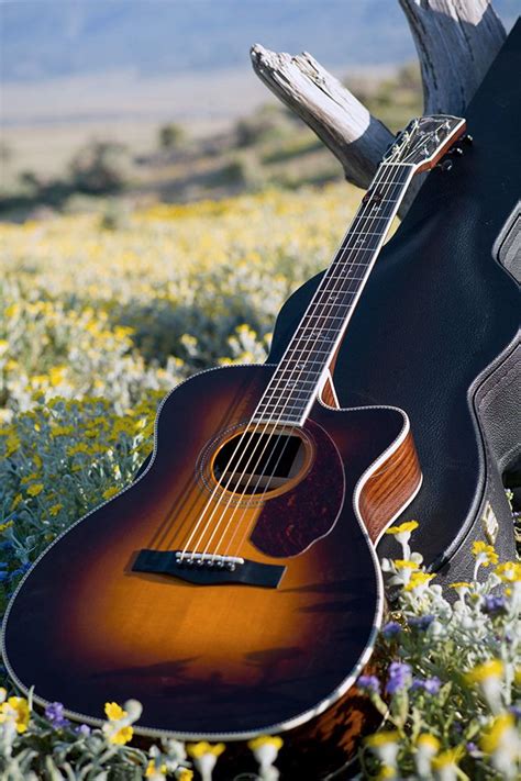 Officialfender Music Instruments Guitar Guitar Photography Acoustic