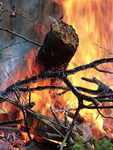 Burned Tree Fire Flames Wood Forest Heat Hot Danger Piqsels