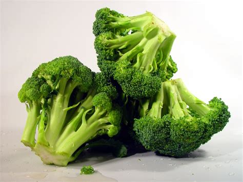 Healty Green Broccoli Green Photo 34594011 Fanpop