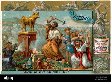 Moses Destroys The Golden Calf He Took The Calf Which They Had Stock