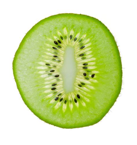 Fresh Kiwi Stock Image Image Of Organic Snack Delicious 10860483