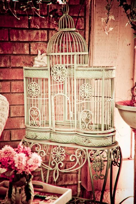 Iron Bird Cages Ideas On Foter