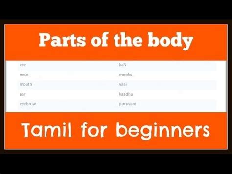 Imparare tamil fauna selvatica e di corpo nomi parti da imparare tamil vita selvatica e nomi body parts app. Body Parts Tamil And English - Animal Anatomy Animal Body ...