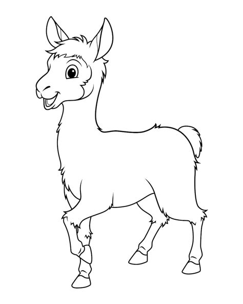 Premium Vector Little Llama Cartoon Animal Illustration Bw