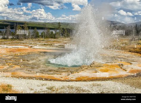 Rustic Geyser Erupting At Heart Lake Geyser Basin Yellowstone National