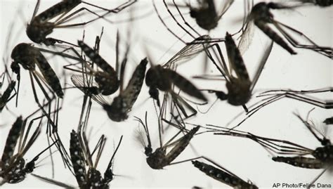 2nd Case Of Zika Virus Confirmed In Michigan