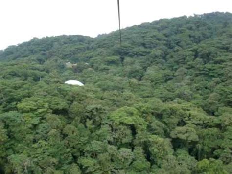 Please enter your hotel name and address in the 'pickup hotel info' field. Zipline at Selvatura Canopy Tour in Monteverde, Costa Rica ...