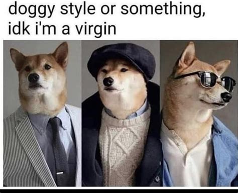 Handsome Doggo Memesofthedank