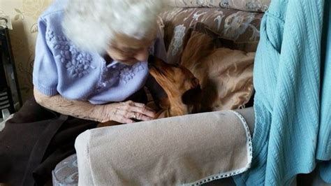 Sausage Dog Brings Pure Joy To Grandma With Alzheimers