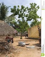 Straw Roofs Pictures